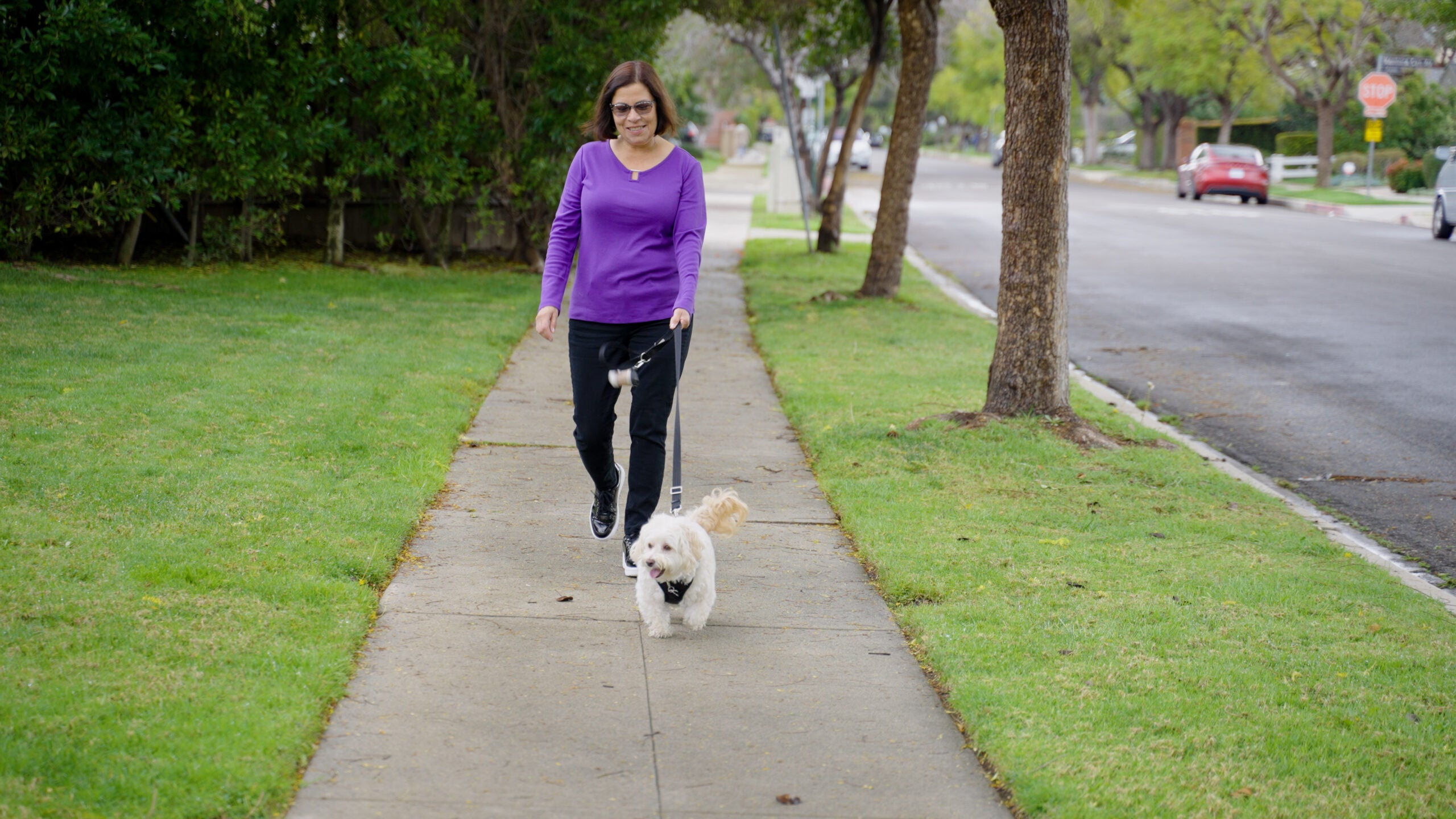 Woman walking dog
